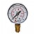 Manometr M40R 0-10 WS - gwint 1/8” kl. 2.5+C688:C720