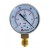 Wakuometr W50R -1-0 WS – gwint radialny 1/4”