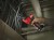 M12_CHZ_402C-_03.jpg