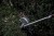 M18_FOPH-EA--App_3.jpg