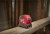 Miara 8m/25mm Milwaukee PRO Compact - 4932459594