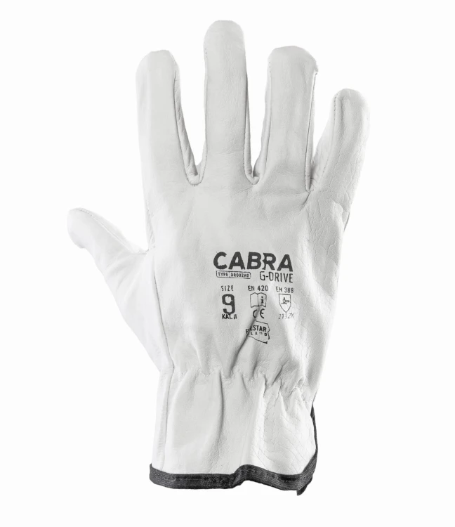 cabra_g-drive_-_01.jpg
