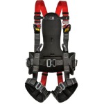 szelki-do-pracy-w-podwieszeniu-protekt-p-80-mx.jpg