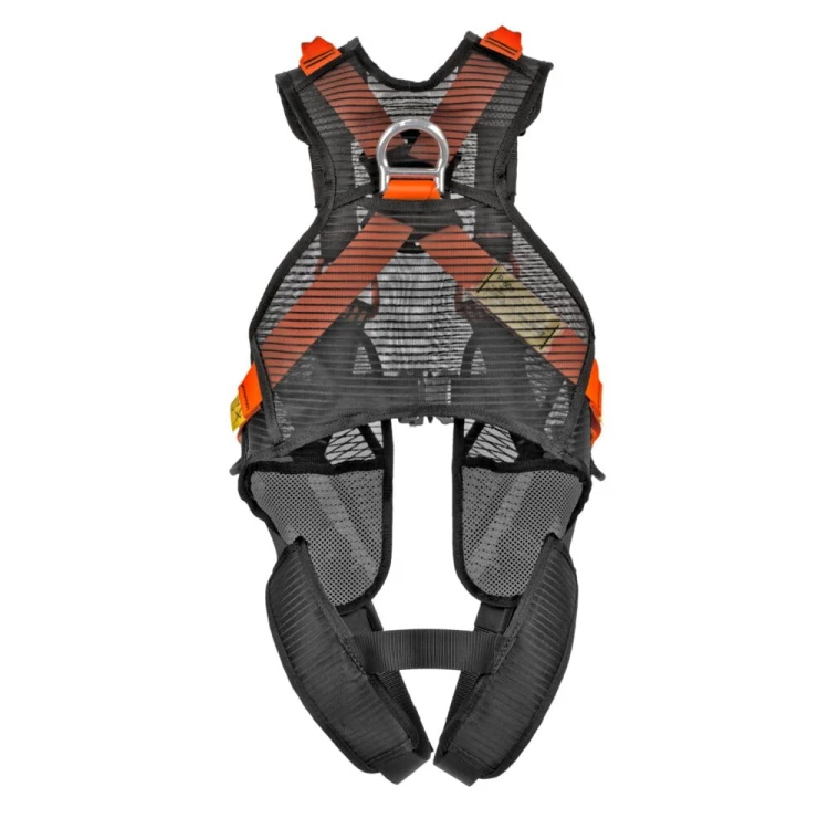 P500_Orange_Back_01.jpg