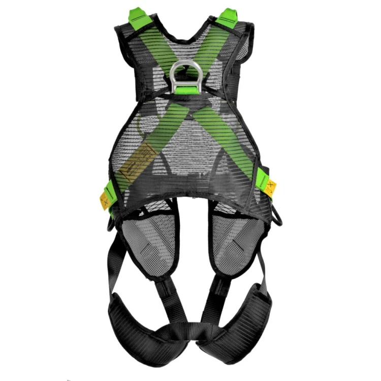 P500_Green_Back_01.jpg
