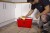 Wiadro glazurnicze 24l RubiCLEAN EASYPRO