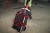 96766-2.webp