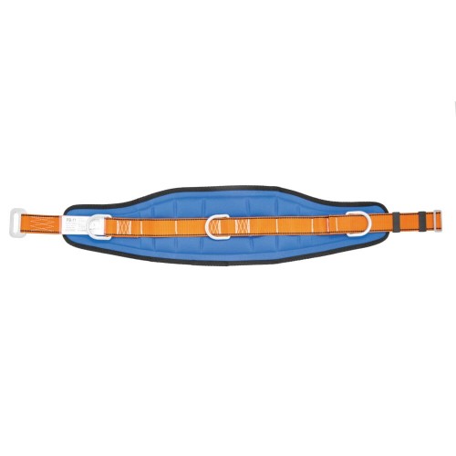 AP011_back.jpg
