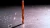 59097-1.webp
