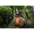 96192-12.webp