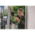96833-1.webp