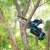 101241-8.webp