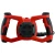 100910-2.webp