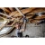 81029-5.webp