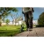 76919-3.webp