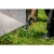 76919-4.webp
