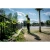 76921-1.webp