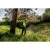 76921-3.webp