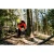 76923-1.webp