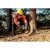 76923-5.webp