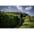 76955-1.webp
