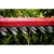 76955-2.webp