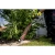 76955-5.webp