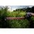 76958-3.webp