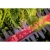 76958-6.webp