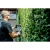 76961-1.webp