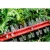76961-5.webp