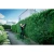76963-4.webp