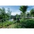 76964-2.webp