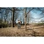 76964-3.webp