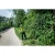 76964-4.webp