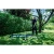 76964-5.webp