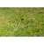 77023-4.webp