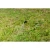 77023-5.webp