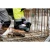77621-19.webp