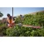 102437-16.webp