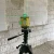 103268-6.webp