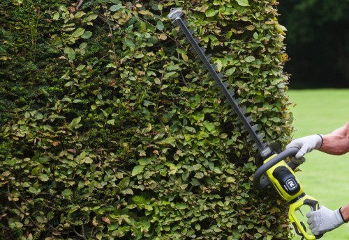 Ryobi RHT6160RS,2.jpg