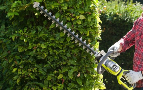 Ryobi RHT8165RL,5.jpg