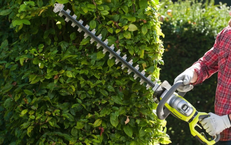 Ryobi RHT8165RL,5.jpg