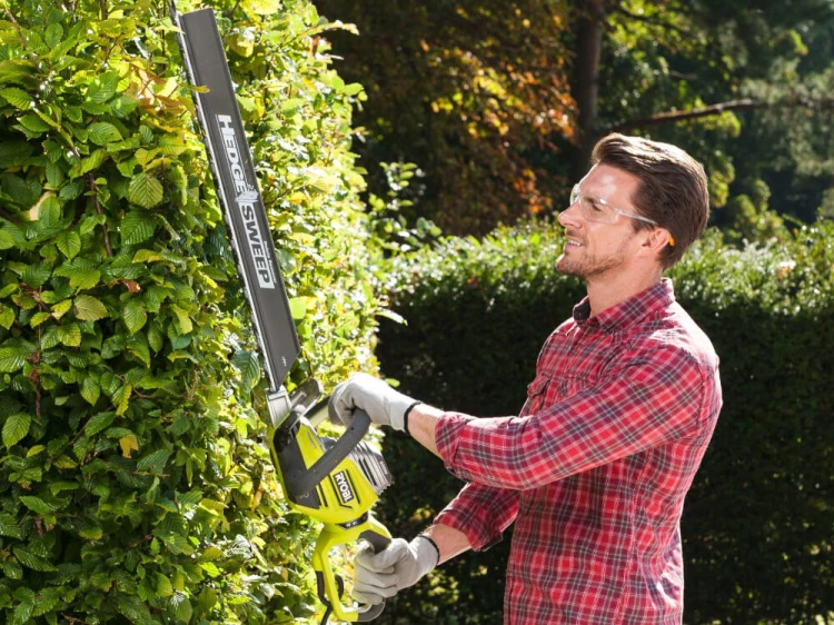 Ryobi RHT8165RL,4.jpg