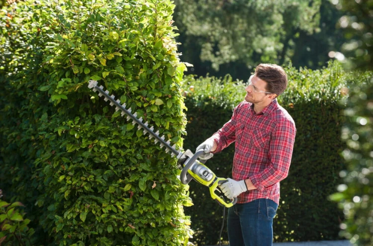 Ryobi RHT8165RL,2.jpg