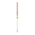 80981-0.webp