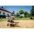 77446-8.webp