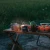 104266-21.webp