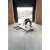 45574-2.webp